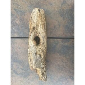Natural Driftwood for Plants Terrarium Taxidermy Art Projects
